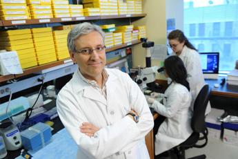 Scienziato italiano negli Usa: "Aiuti fiscali per far tornare i medici? Serve molto di più"