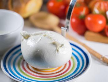 Alimenti, Consorzio Mozzarella Bufala Campana Dop: "Nel 2023 effettuate 5mila verifiche"