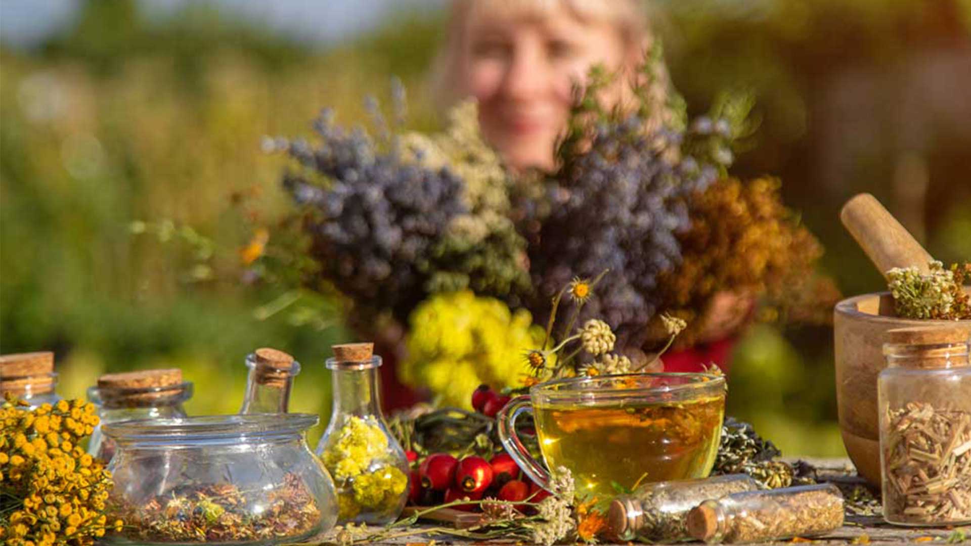 Come natura crea!